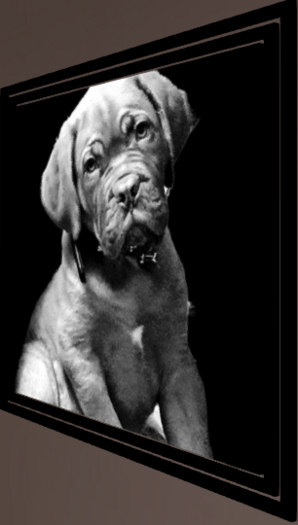 Doggy Do Little