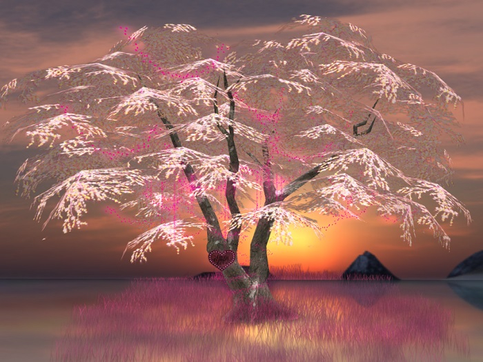 Pink Tree with beautiful Charming Lights 
