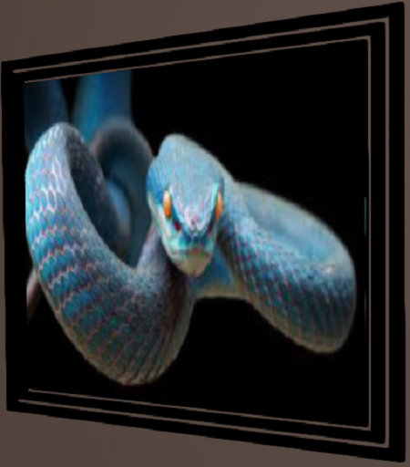 Blue Tree Python