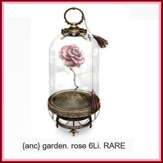 {anc} garden. rose 6Li. RARE