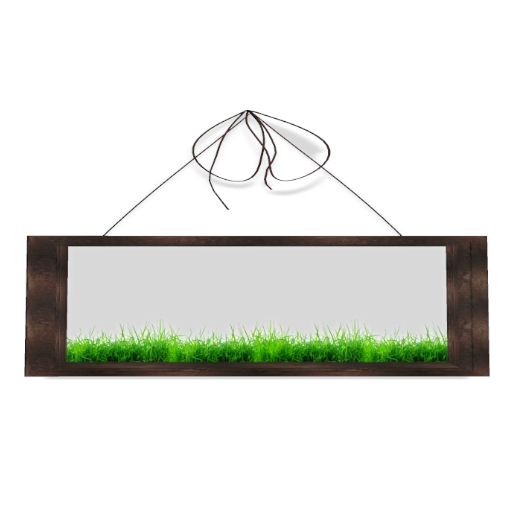Grass dark wood