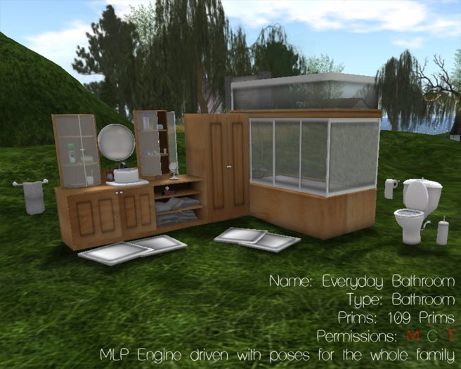 Tiny Spaces - Everyday Bathroom
