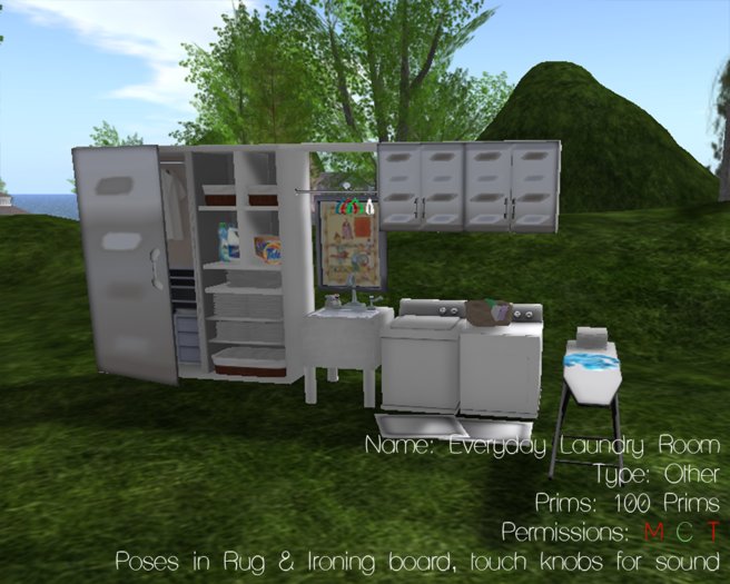 Tiny Spaces - Everyday Laundry Room