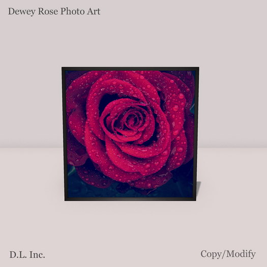 D.L. Decor Dewey Rose Photo Art Frame Mesh Gift Promo 1L