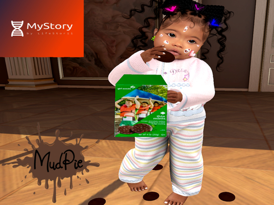 .:MudPie:. Thin Mints ( Boxed)