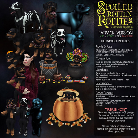 JIAN Spoiled Rotties 15. Collared Pup Wanderer BOX