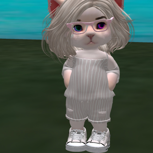 hazyly SET