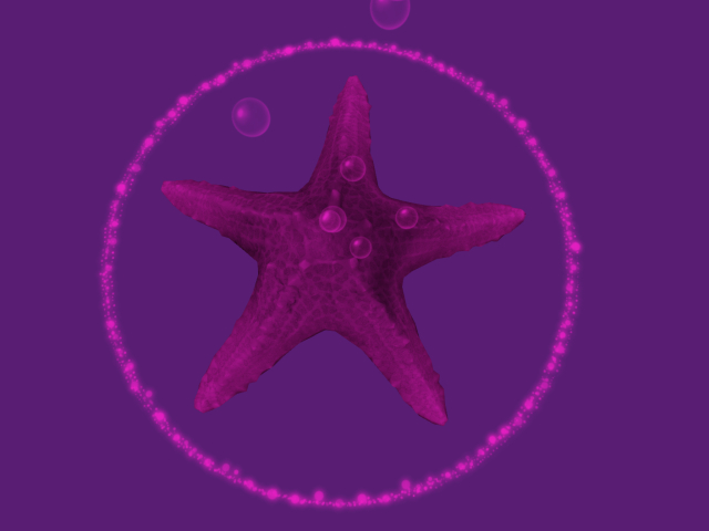 Papillon Starfish Tier 3 Diminutive/Normal, Blissful Type-B