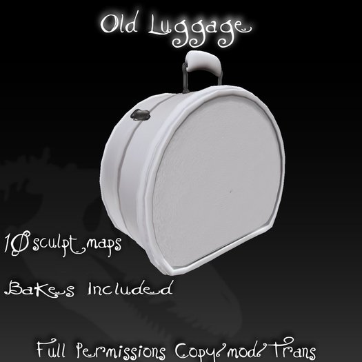 +Sculptasaur+ Old Luggage
