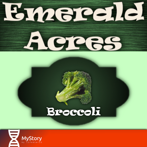 MyStory Broccoli x 50