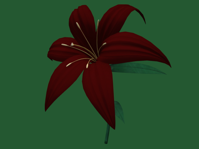 Papillon Lilium Tier 1 Small/Dull, Confused Lilium