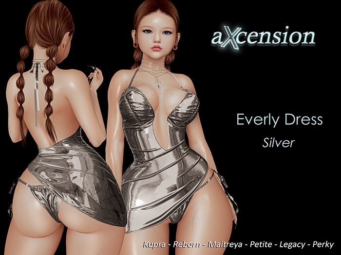 aX: Everly Dress Silver