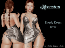 aX: Everly Dress Silver