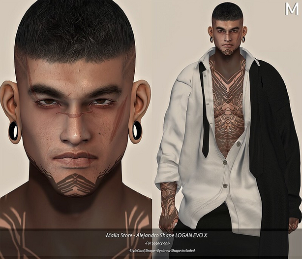 Malla Store - Alejandro Shape LOGAN EVO X