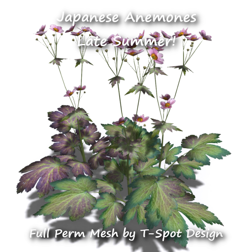 T-Spot Mesh - Japanese Anemones Late Summer - FP - LI=1.0-2.6