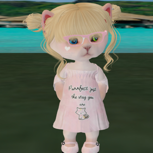 PURRFECTLY YOU SET