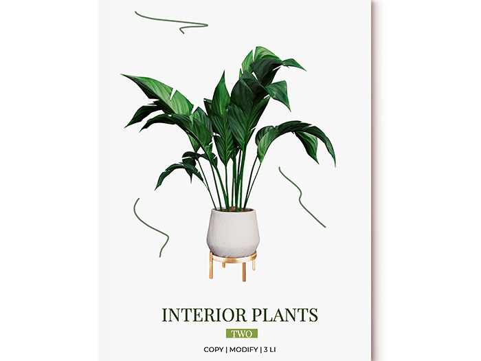 MINIMAL - Interior Plants 2