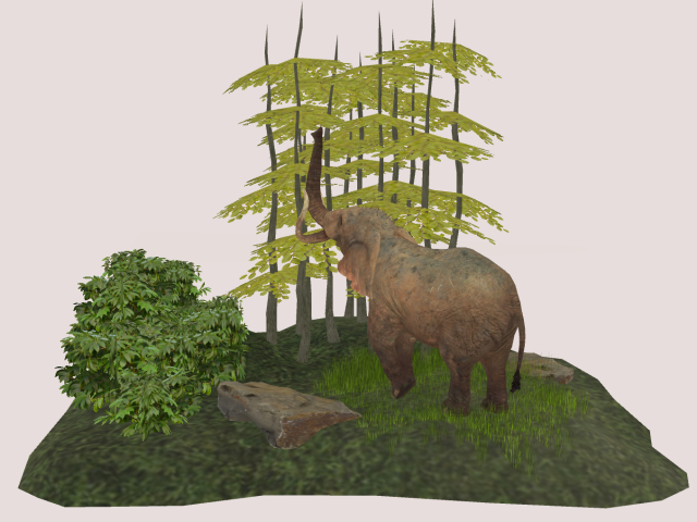 Trees with elephant