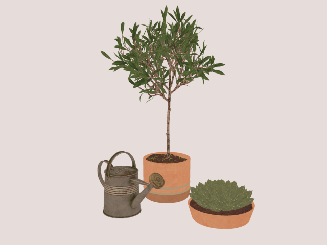 Plant Set With WaterCan :))