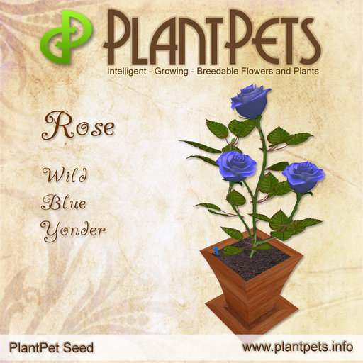 * PlantPet Seed [Rose *Wild Blue Yonder*]