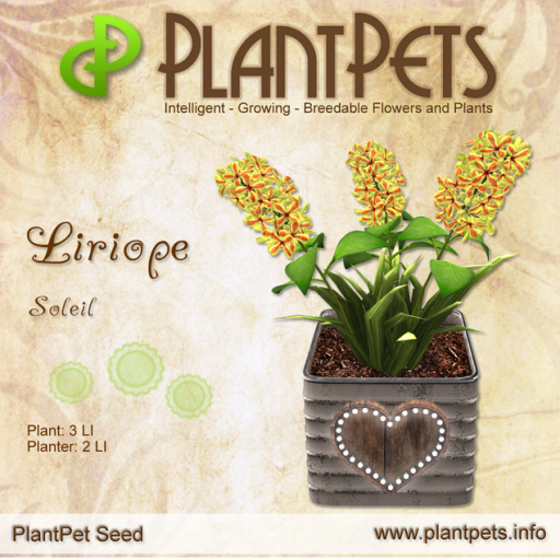 PlantPet Seed [Liriope *Soleil*]