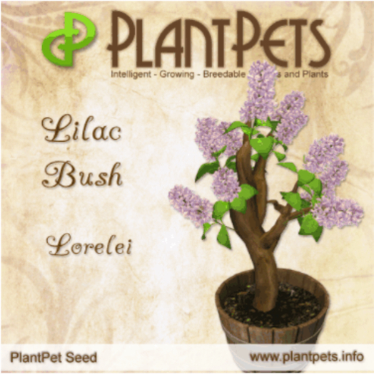 * PlantPet Seed [Lilac Bush *Lorelei*]
