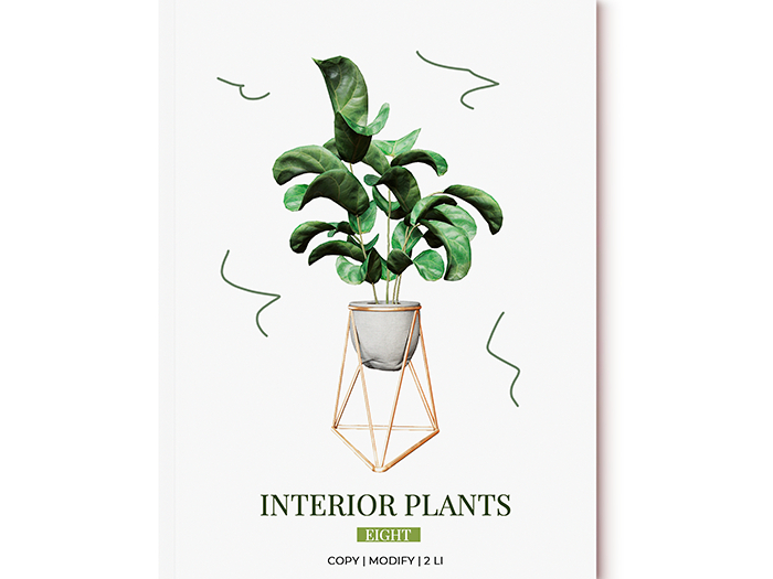 MINIMAL - Interior Plants 8