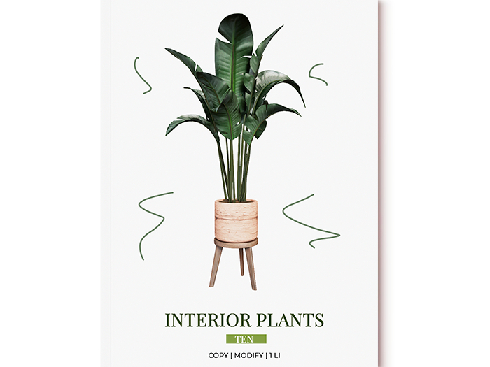 MINIMAL - Interior Plants 10