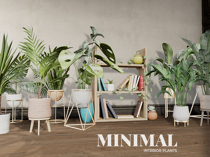 MINIMAL - Interior Plants FATPACK