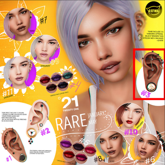 #3 --- MESH EARS