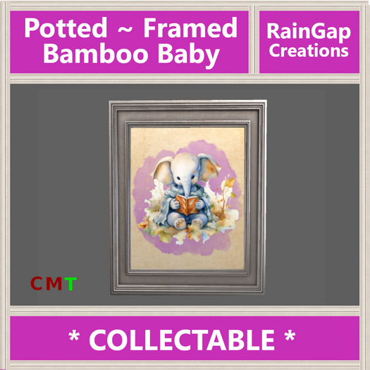 Potted - Framed: Bamboo Baby ACTUAL ITEM