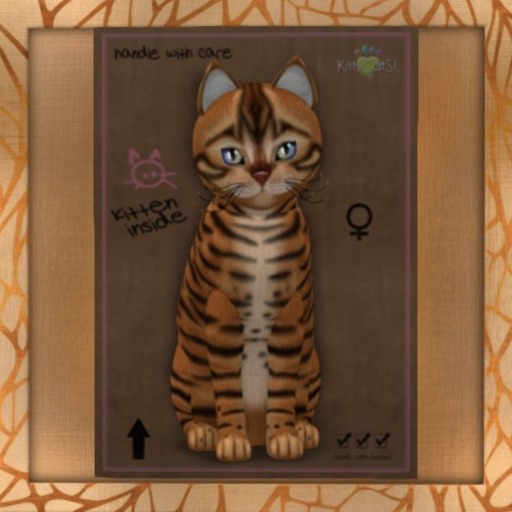 Fur: Toyger - Caramel ♀