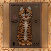Fur: Toyger - Caramel ♀