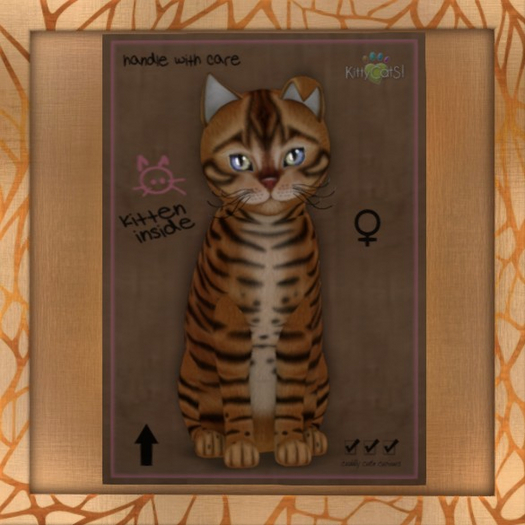 Fur: Toyger - Caramel ♀