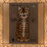 Fur: Toyger - Caramel ♀