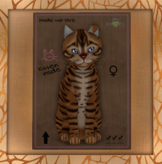 Fur: Toyger - Caramel ♀