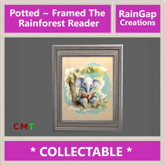 Potted - Framed: The Rainforest Reader ACTUAL ITEM