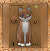 Fur: Foxie - Auburn ♀