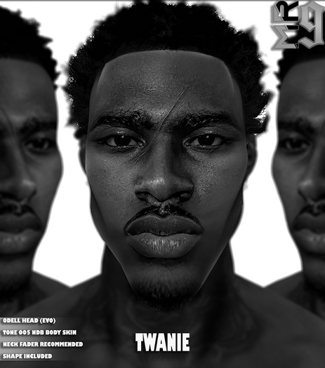 Twanie Skin Demo (ODELL HEAD)
