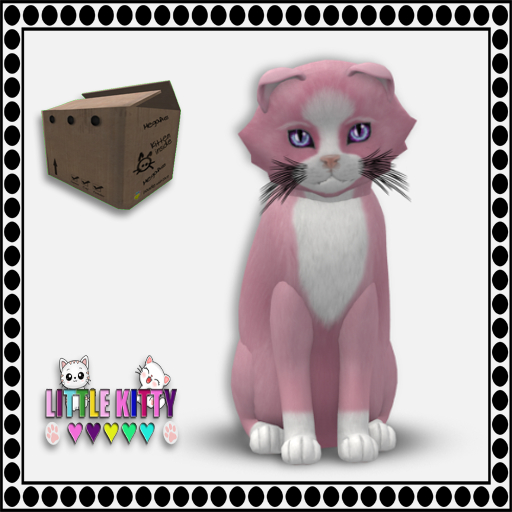 KittyCatS Box - 9T Chateau Cat - Pink & White No. 1 F