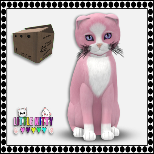 KittyCatS Box - 9T Chateau Cat - Pink & White No. 1 M