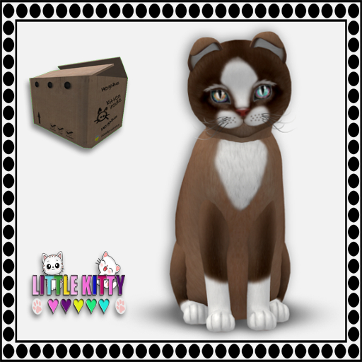 KittyCatS Box - 9T Chateau Cat - Toffee Caramel/OdyTapN1 F