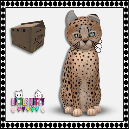 KittyCatS Box - 9T Cheetah! - Au Natural/OdyTap M
