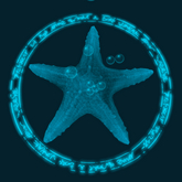 Papillon Starfish Tier 1,Diminutive/Normal,Blissful Type-A