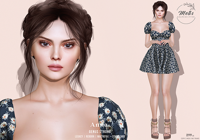 [Metis] ANNA Box
