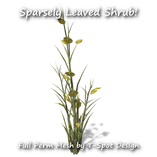 T-Spot Sparsely Leafed Shrub - Full Perm Kit - LI = 1