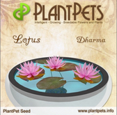 PlantPet Seed [Lotus *Dharma*](COMMON)