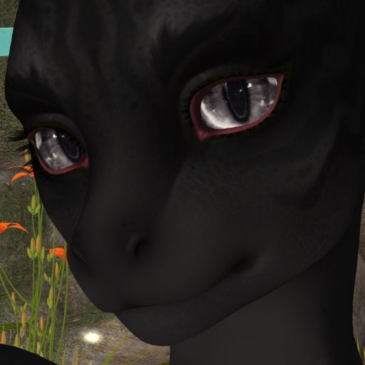 M! Dinot :{Umbrage}: