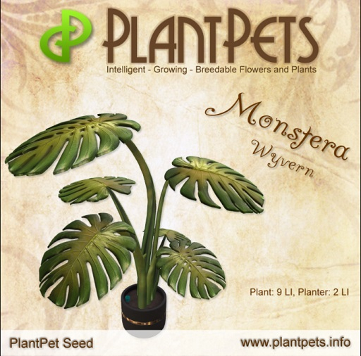 PlantPet Seed [Monstera *Wyvern*]