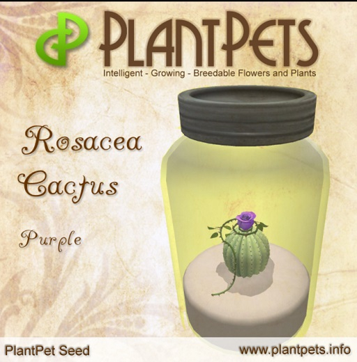 PlantPet Seed [Rosacea Cactus *Purple*]